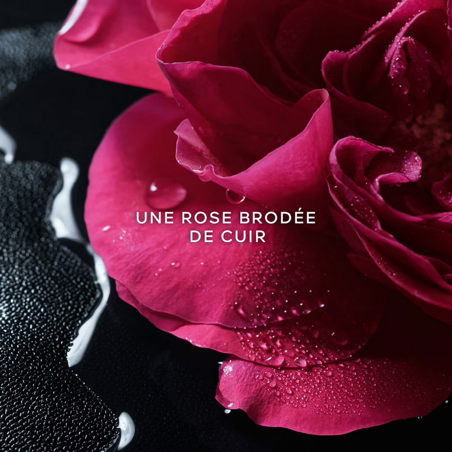 La Petite Robe Noire Rose Noire