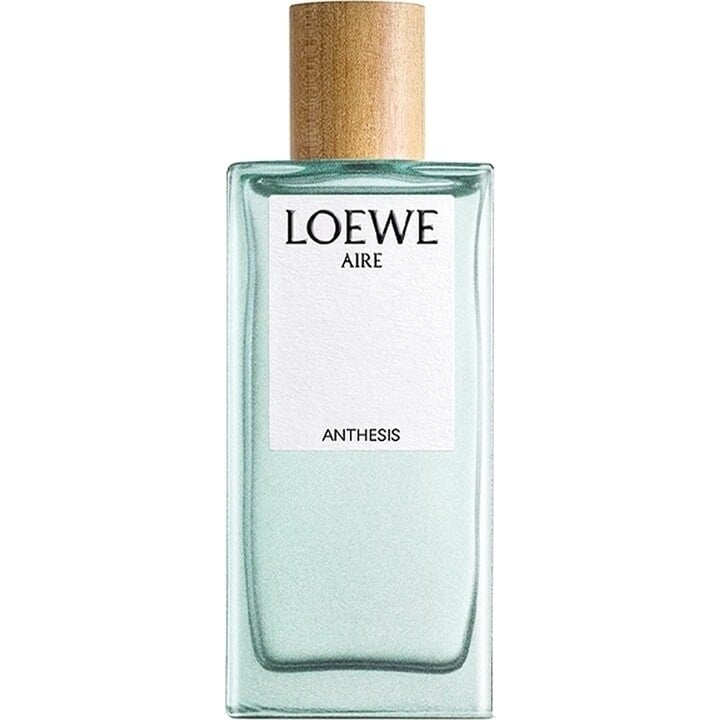 Loewe Aire Anthesis